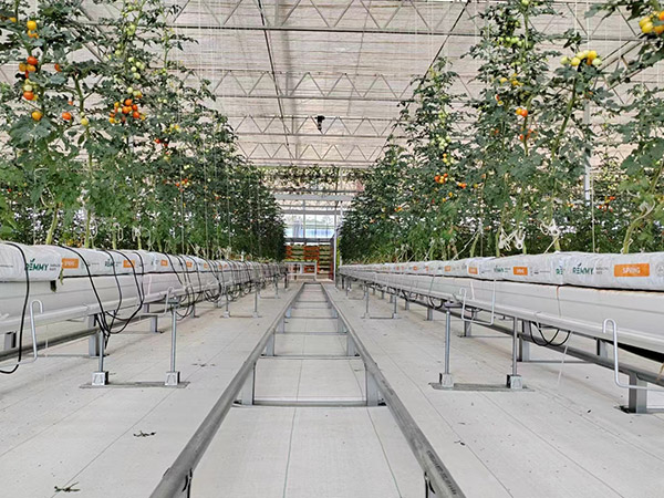 淄博無(wú)土栽培溫室工程