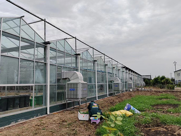 大慶現代農業智能玻璃大棚