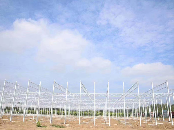 洛陽溫室大棚骨架建造