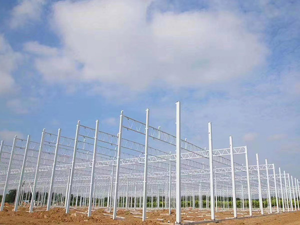 泰安溫室大棚骨架搭建