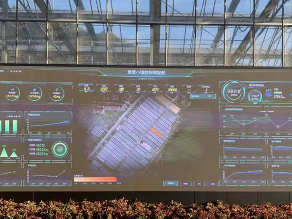 西藏智能化管理溫室大棚