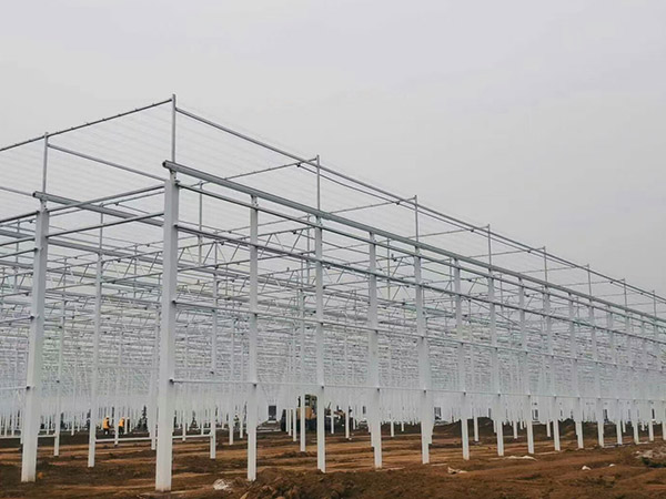 浙江溫室大棚骨架