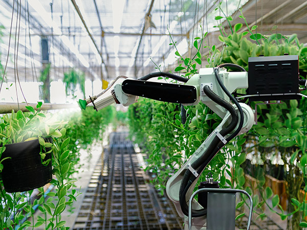 蕪湖溫室機器人