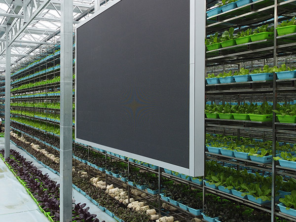 淄博物聯網控制系統